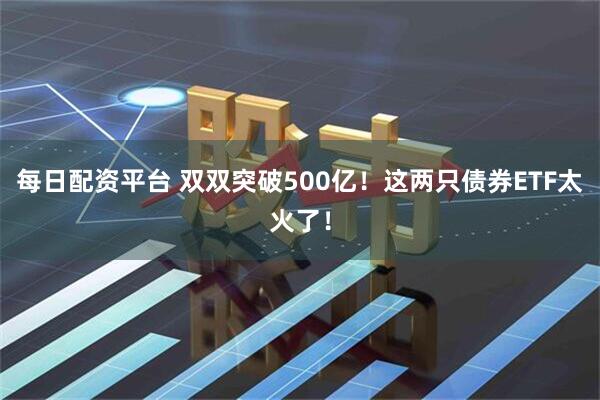 每日配资平台 双双突破500亿！这两只债券ETF太火了！