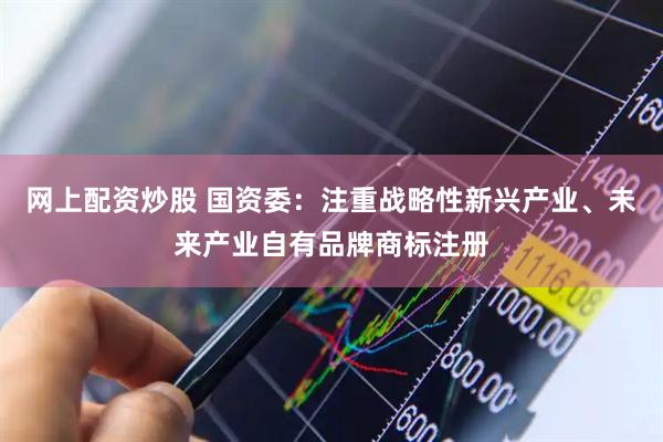 网上配资炒股 国资委：注重战略性新兴产业、未来产业自有品牌商标注册