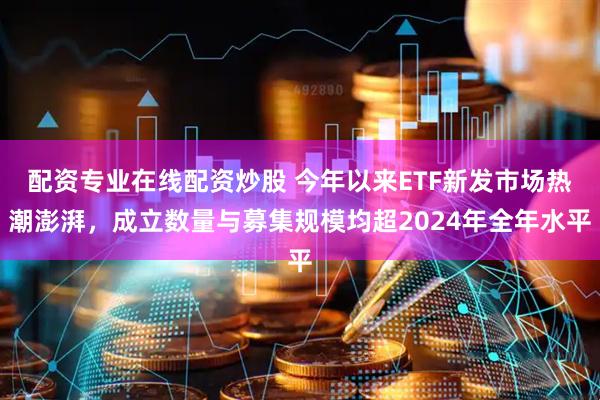 配资专业在线配资炒股 今年以来ETF新发市场热潮澎湃，成立数量与募集规模均超2024年全年水平