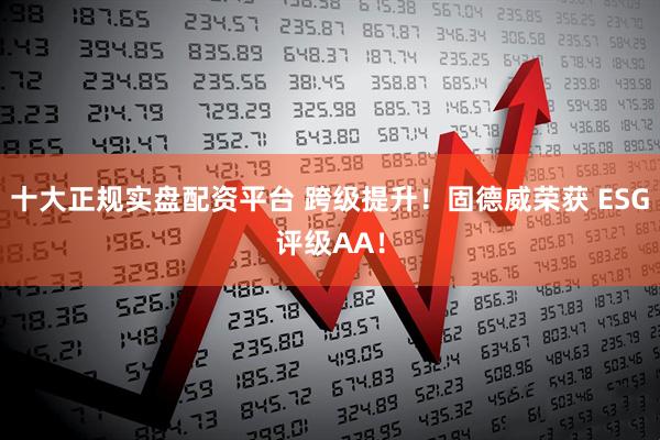 十大正规实盘配资平台 跨级提升!固德威荣获 ESG评级AA!
